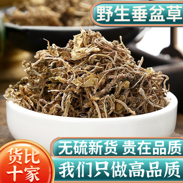 垂盆草中药材500g克旗舰店正品野生干垂盆草锤盆草食用中草药