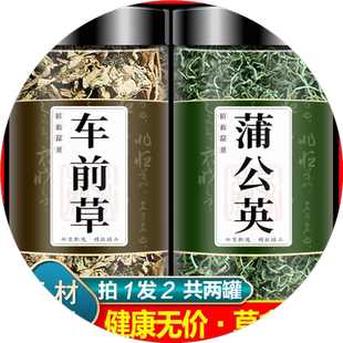 车前草蒲公英组合茶包中药材正品野生干货浦公英车钱草薏米泡茶水