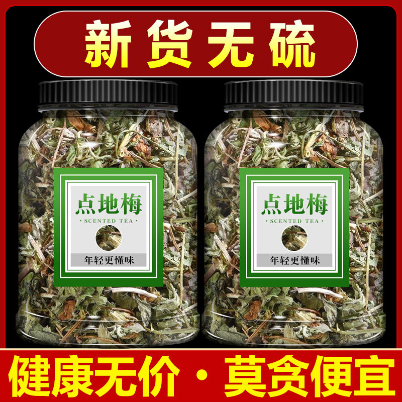 点地梅中药材喉咙草天星草