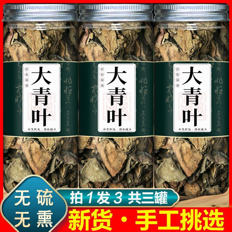 大青叶中药材正品蓝叶板蓝根叶子