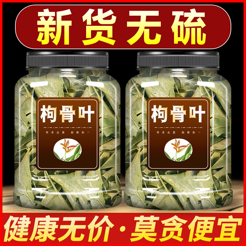 枸骨叶中药材500g旗舰店正品泡水功劳叶狗骨草老鼠刺猫儿刺八角刺