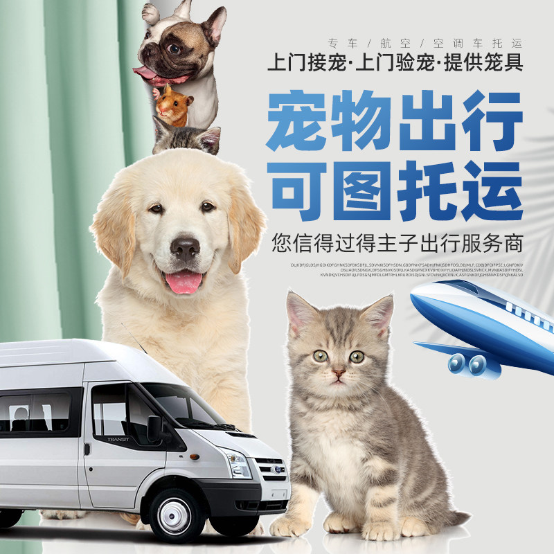 宠物托运服务全国猫狗空运上海北京广州深圳专车运输国际快递邮寄