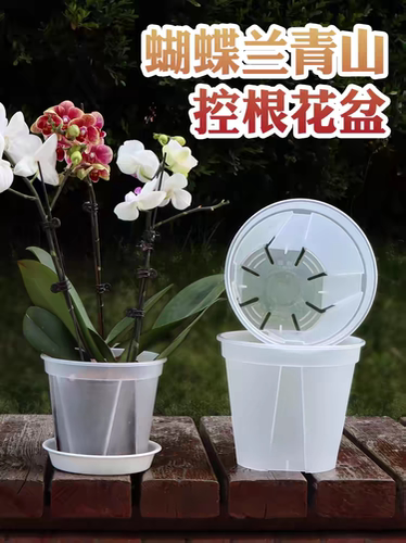 青山控根养护盆蝴蝶兰用兰花盆