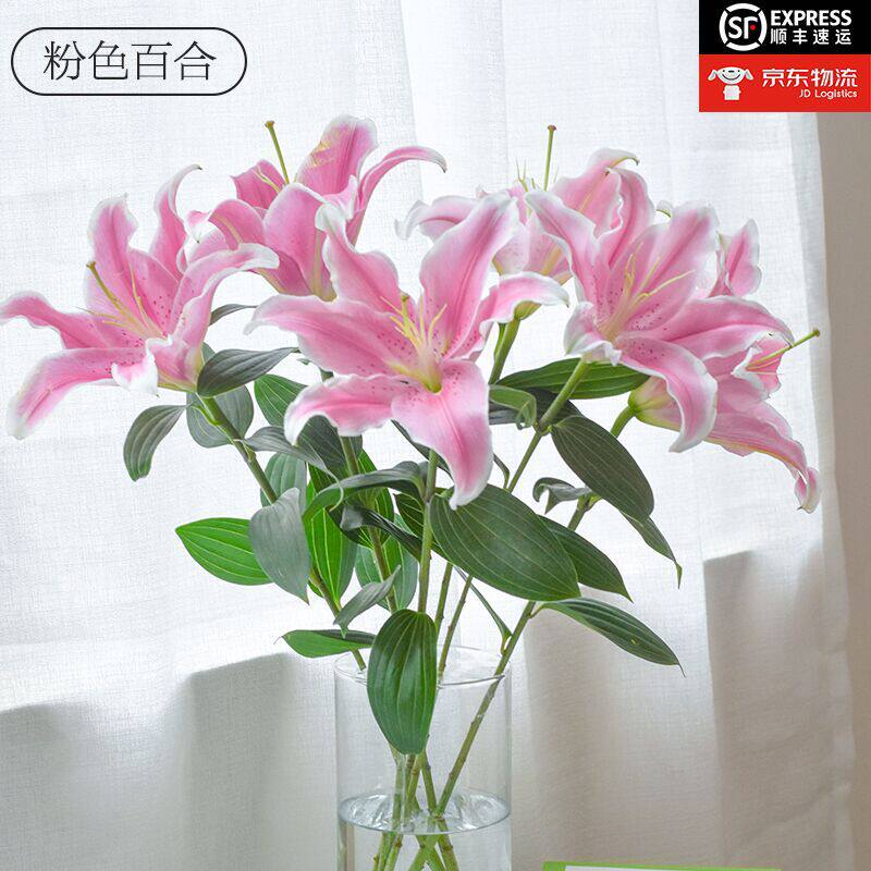 【2头优质香水百合】 黄色白色粉色红色 昆明基地现采直发按颜色