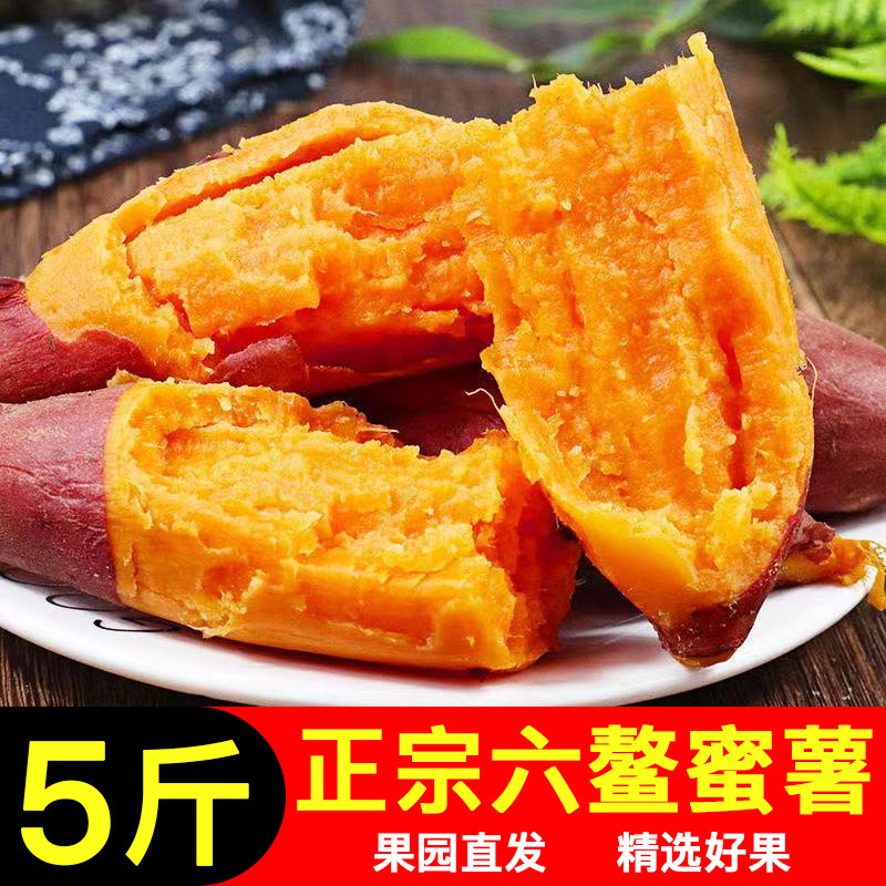 【胡鲜森】福建六鳌沙地红蜜薯新番薯