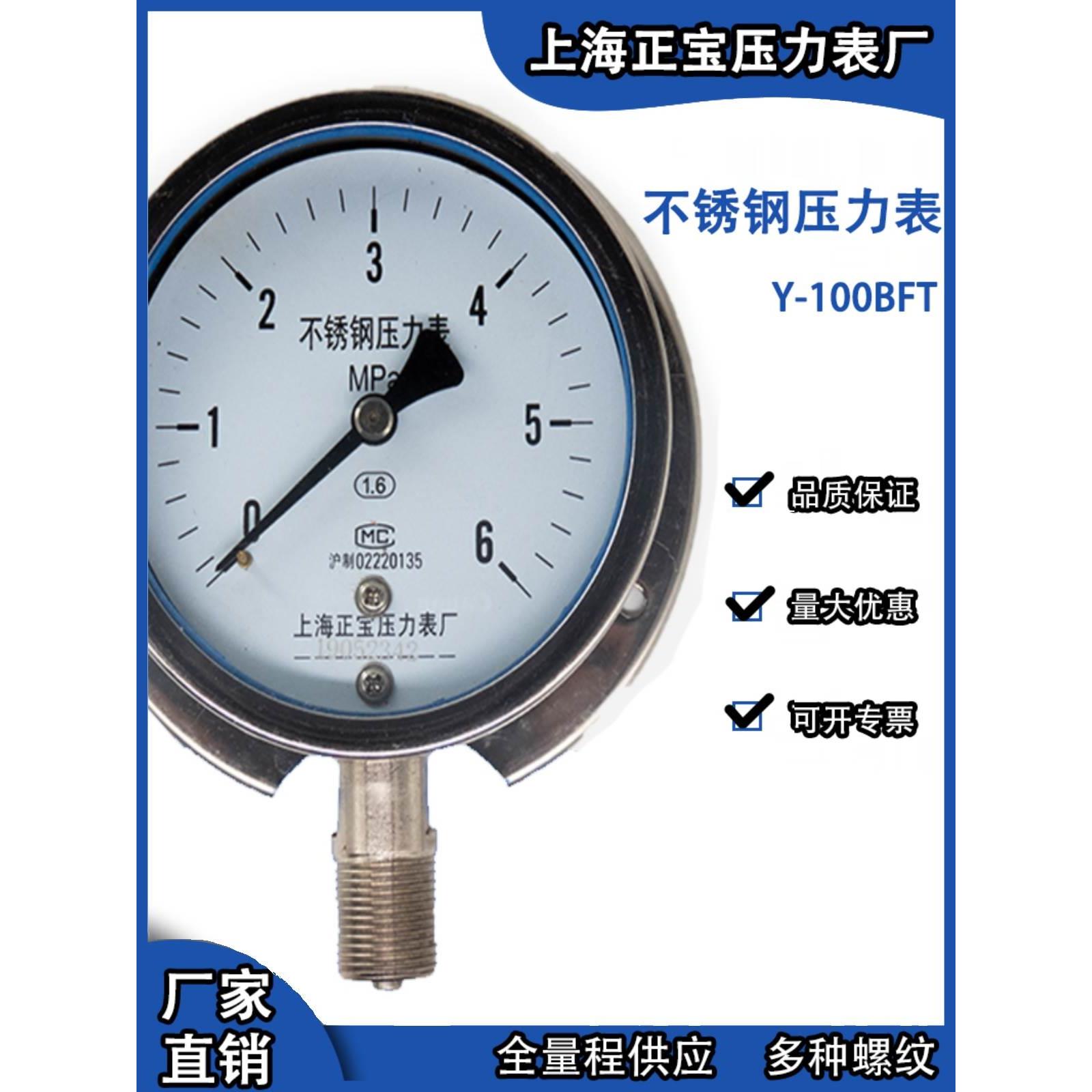 不锈钢压力表径向带边Y100BFT耐震耐腐蚀304材质非标螺纹欢迎定制