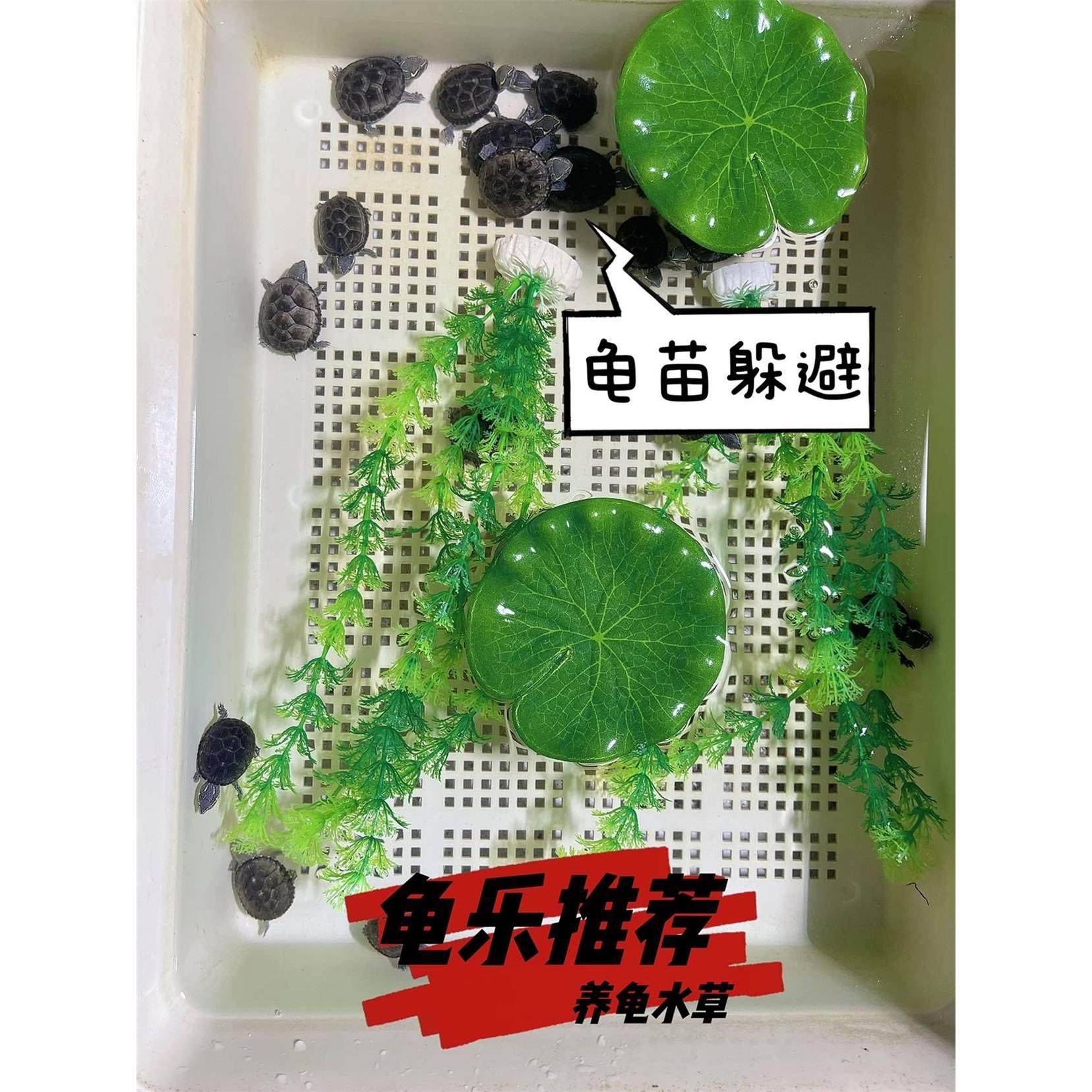 鱼缸造景装饰假绿植荷叶仿真水草海带海草乌龟躲避用品水族箱摆件图片