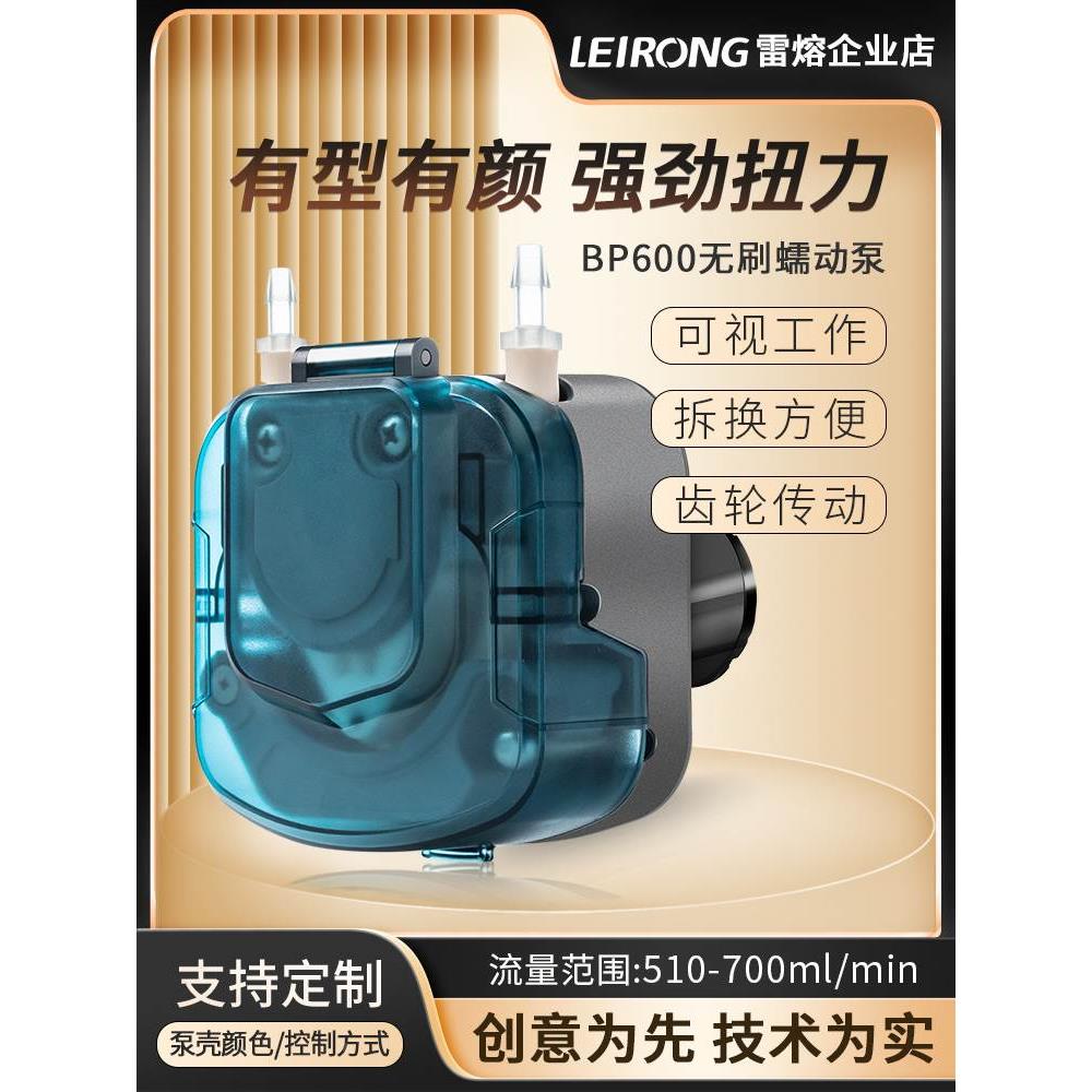 雷熔BP600无刷电机蠕动泵 大流量饮料灌装机实验循环抽水自吸水泵