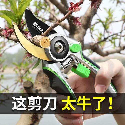 德国精工园艺剪刀园林修枝剪果树剪枝省力强力大修剪修花剪子神器