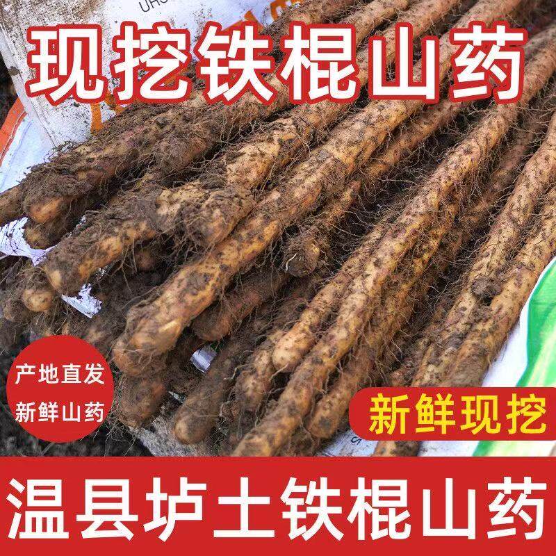 【顺丰包邮】河南焦作垆土铁棍怀山药温县正宗铁杆淮山药新鲜粉糯