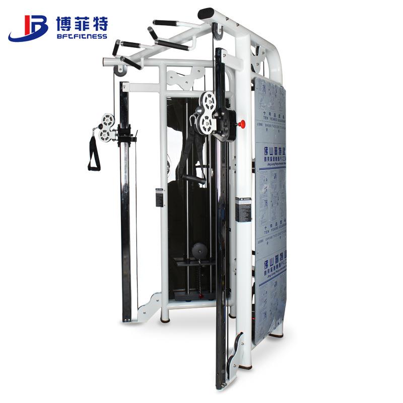 厂家直供 室内大型运动健鸟身BFT-3025器械 壁式龙挂门架小飞练综