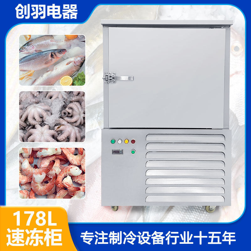 大型酒店冷藏鸡爪 鸡翅 猪脚 冷冻丸子速冻机 急冻海鲜冷冻柜