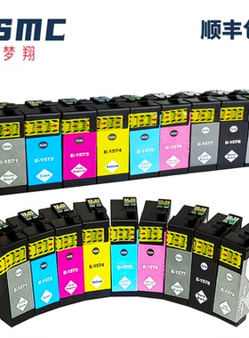 适用爱普生R3000打印机墨盒157  EPSON T1571 T157 T1573 T1574 T1575 T1576 T1579黑色蓝色颜料墨水盒