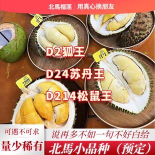 北马榴 品种D2狐王榴莲D24苏丹王榴莲D214松鼠王榴莲 树熟液氮