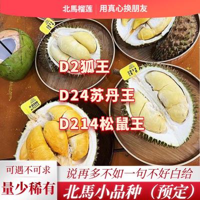 北马榴【树熟液氮】品种D2狐王榴莲D24苏丹王榴莲D214松鼠王榴莲