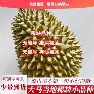 北马榴【树熟液氮】神仙种榴莲太华榴莲或叫猫屎榴莲少量到货甘苦