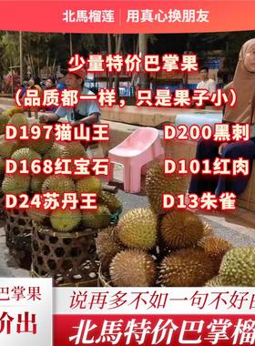 北马榴【树熟液氮】特价d197猫山王d200榴莲d168红宝石d13朱雀