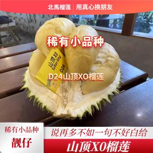 北马榴【树熟液氮】靓仔小品种D24系列山顶X0榴莲花香与酒香并存