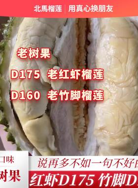 北马榴【树熟液氮】老树红虾榴莲d175竹脚D160榴莲榴莲新鲜浓郁