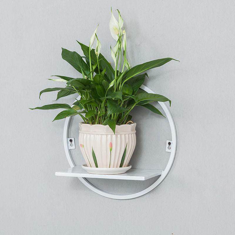 免打孔简约阳台壁挂式花盆架餐厅墙面花篮架客厅墙上绿萝置物花架,工业油品/胶粘/化学/实验室用品,烧杯/烧瓶,淘宝优惠券,粉丝福利购,淘宝优惠卷