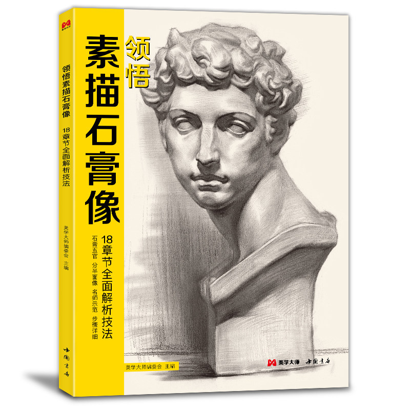 领悟素描石膏像2021石膏头像临摹范本教程基础入门石膏五官图解全方位