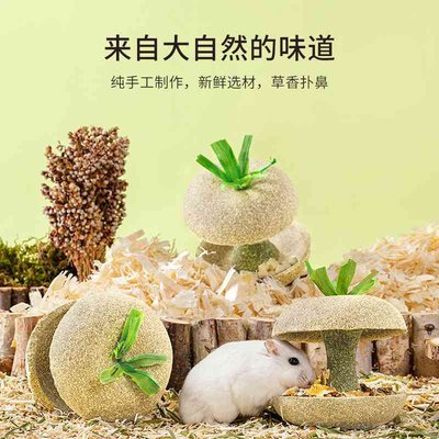 卡诺仓鼠粮食苹果核磨牙棒金丝熊营养小零食磨牙玩具造景用品大全