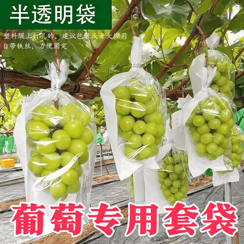 巨峰阳光玫瑰专用水果套袋防虫防鸟套水果袋子树上果袋水果套袋子
