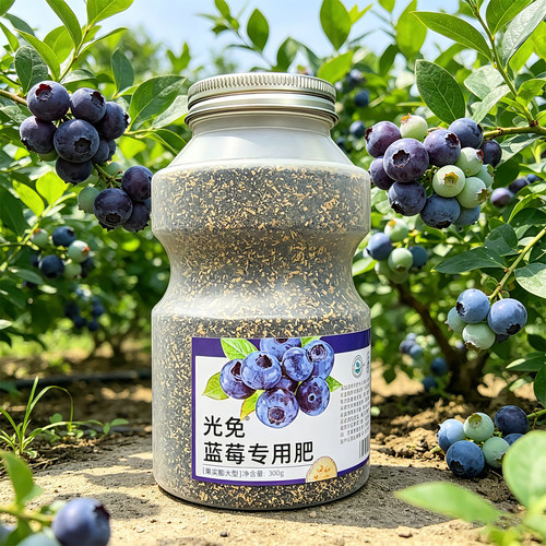 蓝莓专用肥光合生物肥料