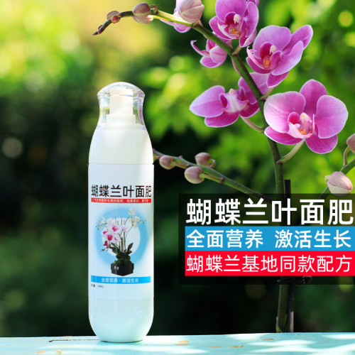 蝴蝶兰叶面肥喷雾光合生物