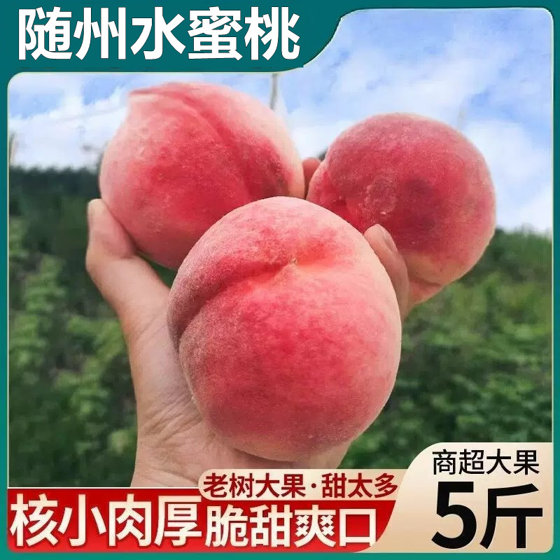 新鲜水蜜桃5斤农家现摘当应季孕妇随州水果黄毛油礼盒整箱脆桃子