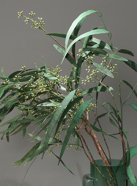 小米果叶尤加利永生花玻璃道具