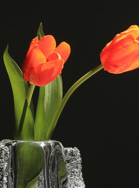 手感保湿仿真郁金香电视柜假花