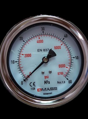 压力表DMASS德玛仕EN837-1德国MBB10B-250-1 100盘 径向25MPA