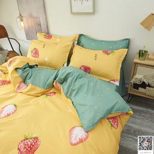 Home Printed four-piece suit四件套sheet and duvet cover 4set
