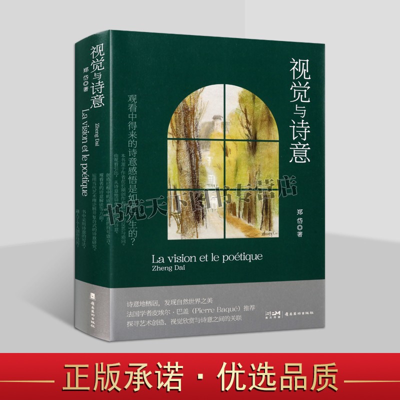 正版 视觉与诗意 从视觉的角度欣赏诗与画 艺术书籍 艺术鉴赏鉴赏收藏 广东岭南美术出版社图书