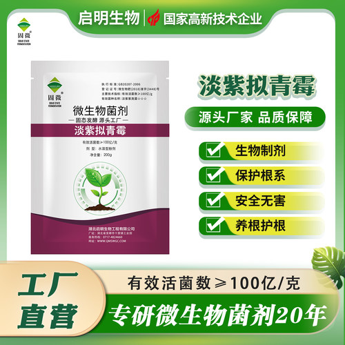 淡紫拟青霉淡紫紫孢菌黄瓜番茄辣椒烟叶果树线虫问题专用微生物菌