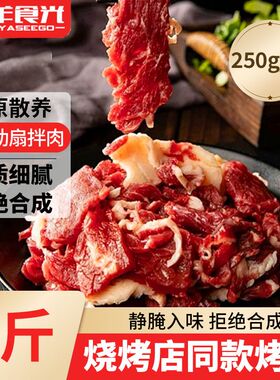 羊食光齐齐哈尔风味烤肉肋扇拌肉家庭款牛肉片户外烧烤烤肉半成品