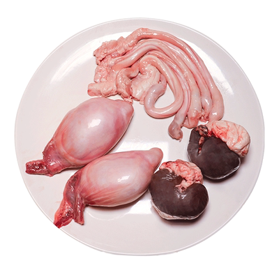 新鲜乳羔羊羊三宝羊鞭羊蛋