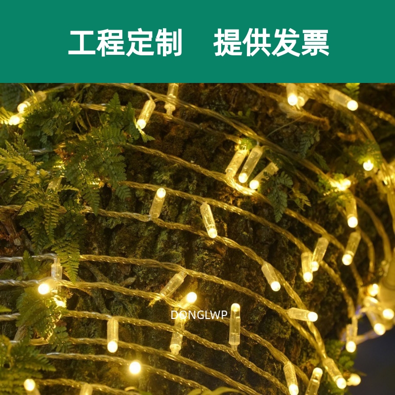 led灌胶灯串超亮户外防水满天星彩灯工程亮化节日街道绕树装饰灯