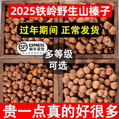 东北特产铁岭野生开口手拍大榛子