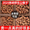 大榛子东北特产新鲜铁岭原味野生臻子炒熟开口坚果无添加干果新货