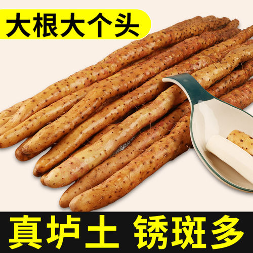 铁棍山药新鲜5斤密铁锈铁杆淮山铁杆农家河南焦作温县正宗紫怀