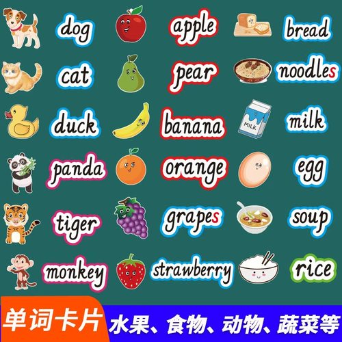 英语分类单词卡片教学教具