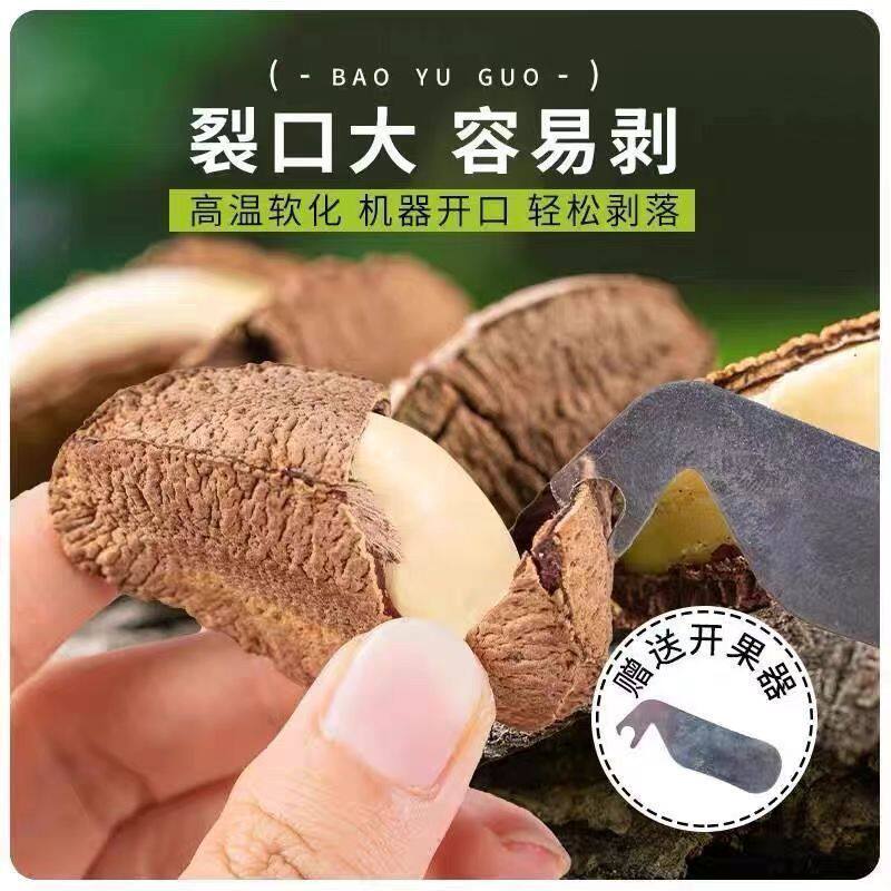 山姆冠鲍鱼果新疆特产 沙漠果巴西坚果干果香脆鲍鱼果