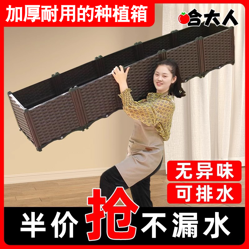 蔬菜花盆哈大人养花种菜神器