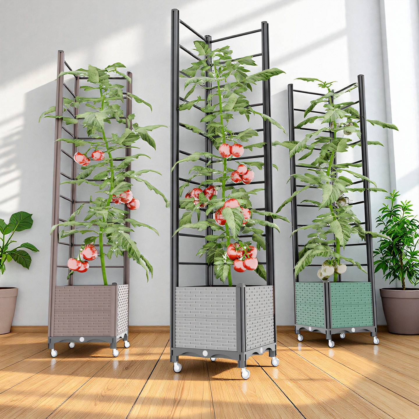 黄瓜爬藤架四季豆花架支撑杆