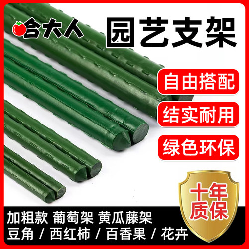 爬藤架庭院户外豆角黄瓜西红柿