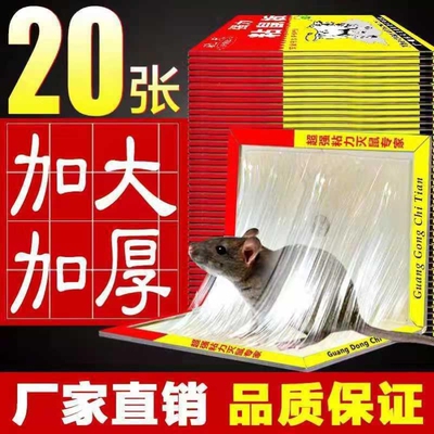 家用诱饵强力粘鼠板老鼠贴