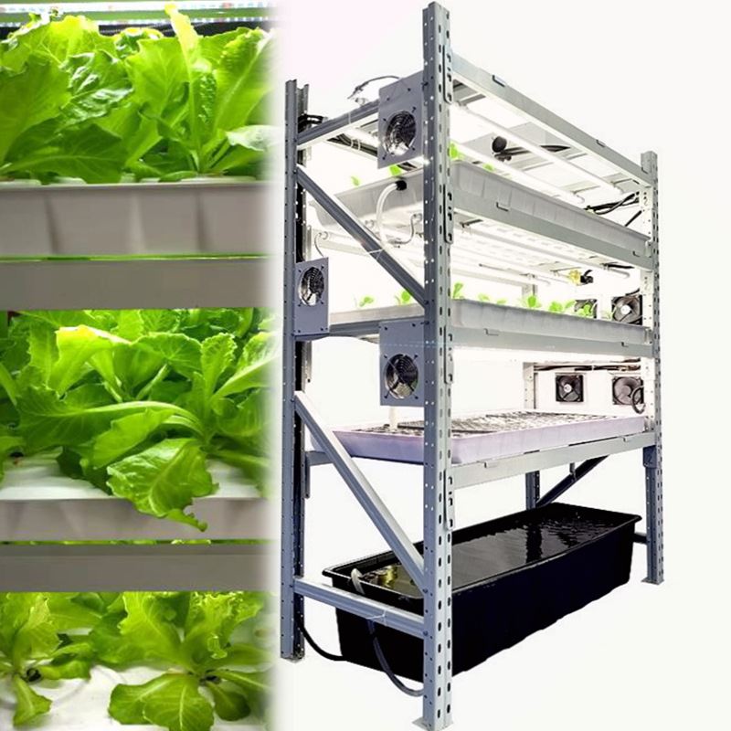 种菜神器 无土栽培系统设备多层立体蔬菜种植架 智能种菜机水培机