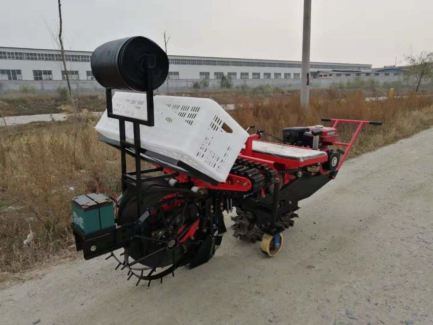 直销农用大葱移栽器自走式单行大葱移栽机 乘坐式大葱移栽设备